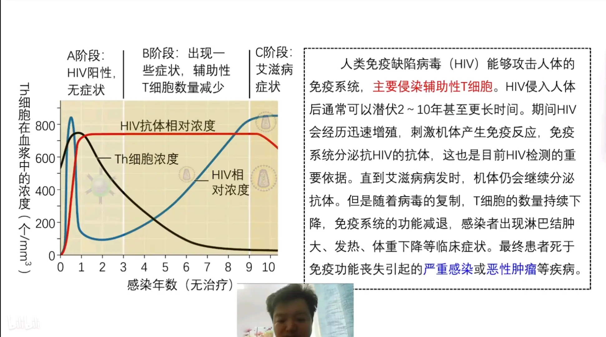 hiv浓度与t细胞关系图图片