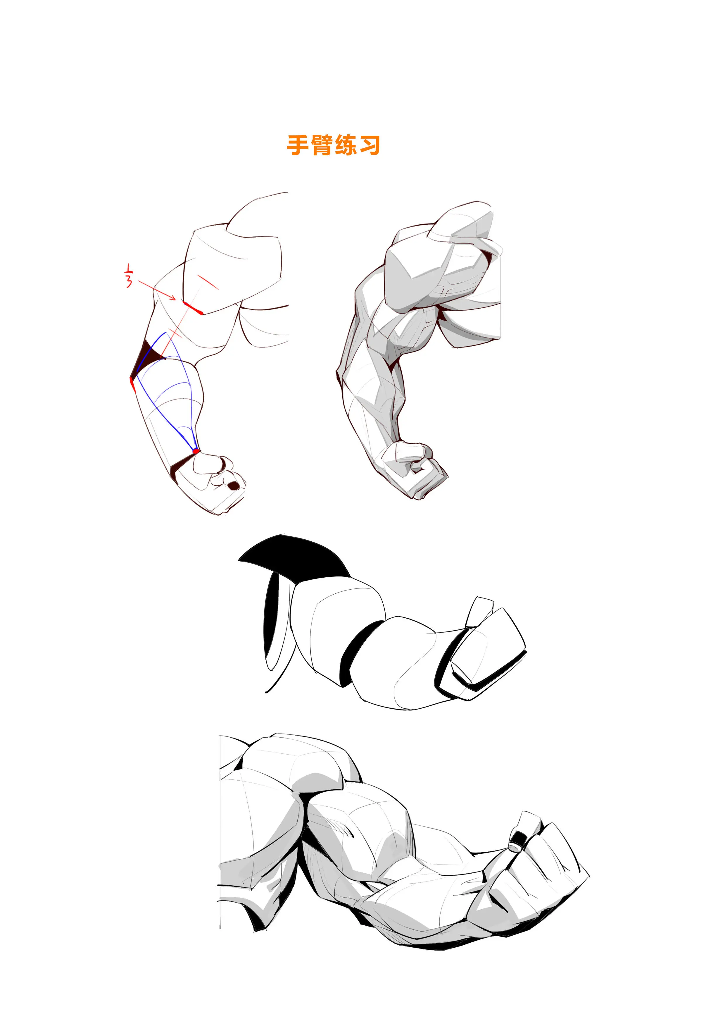 手臂结构 和手臂肌肉结构画法~ 干货教程 - 哔哩哔哩