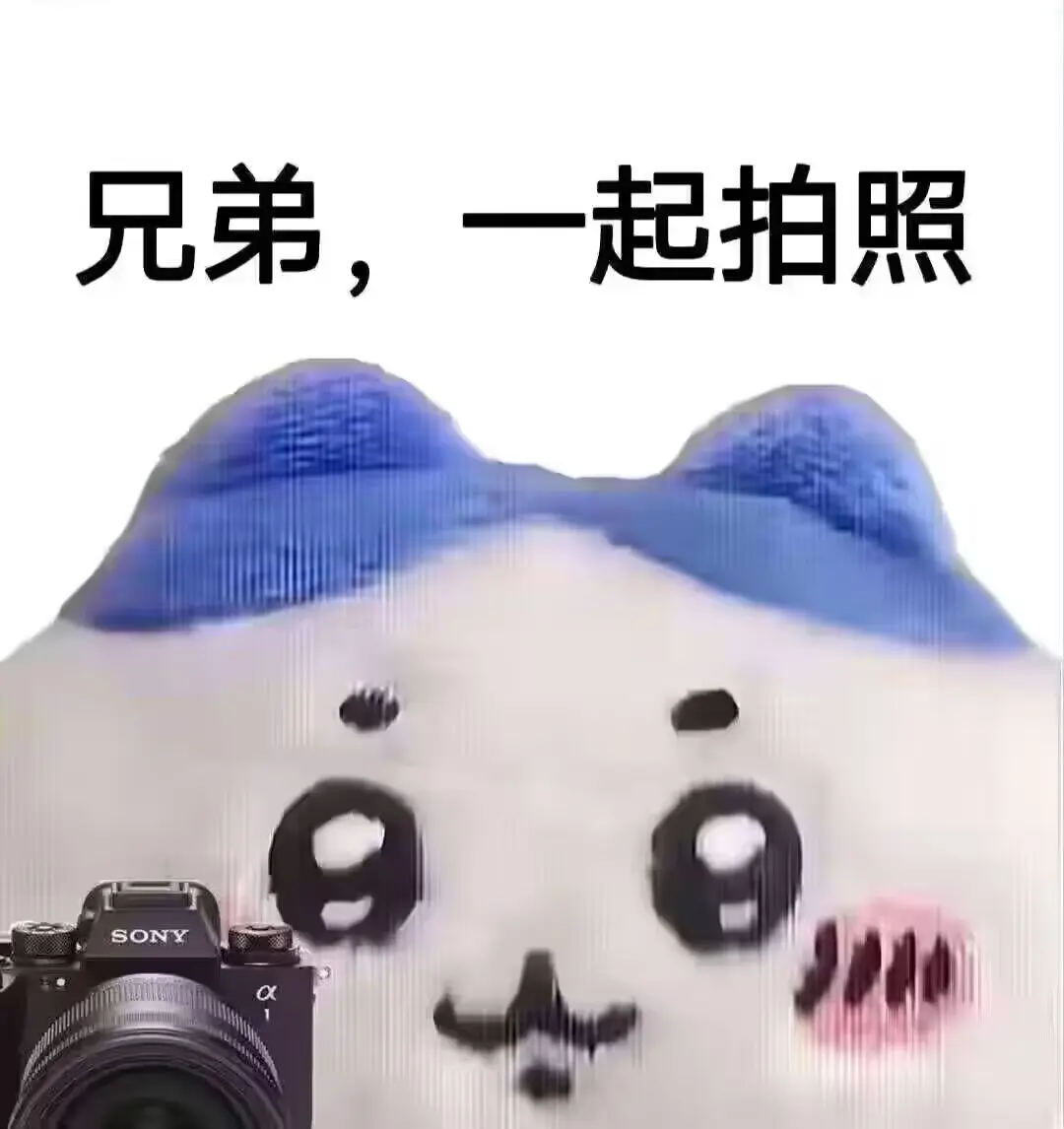 摄影/二次元摄影表情包