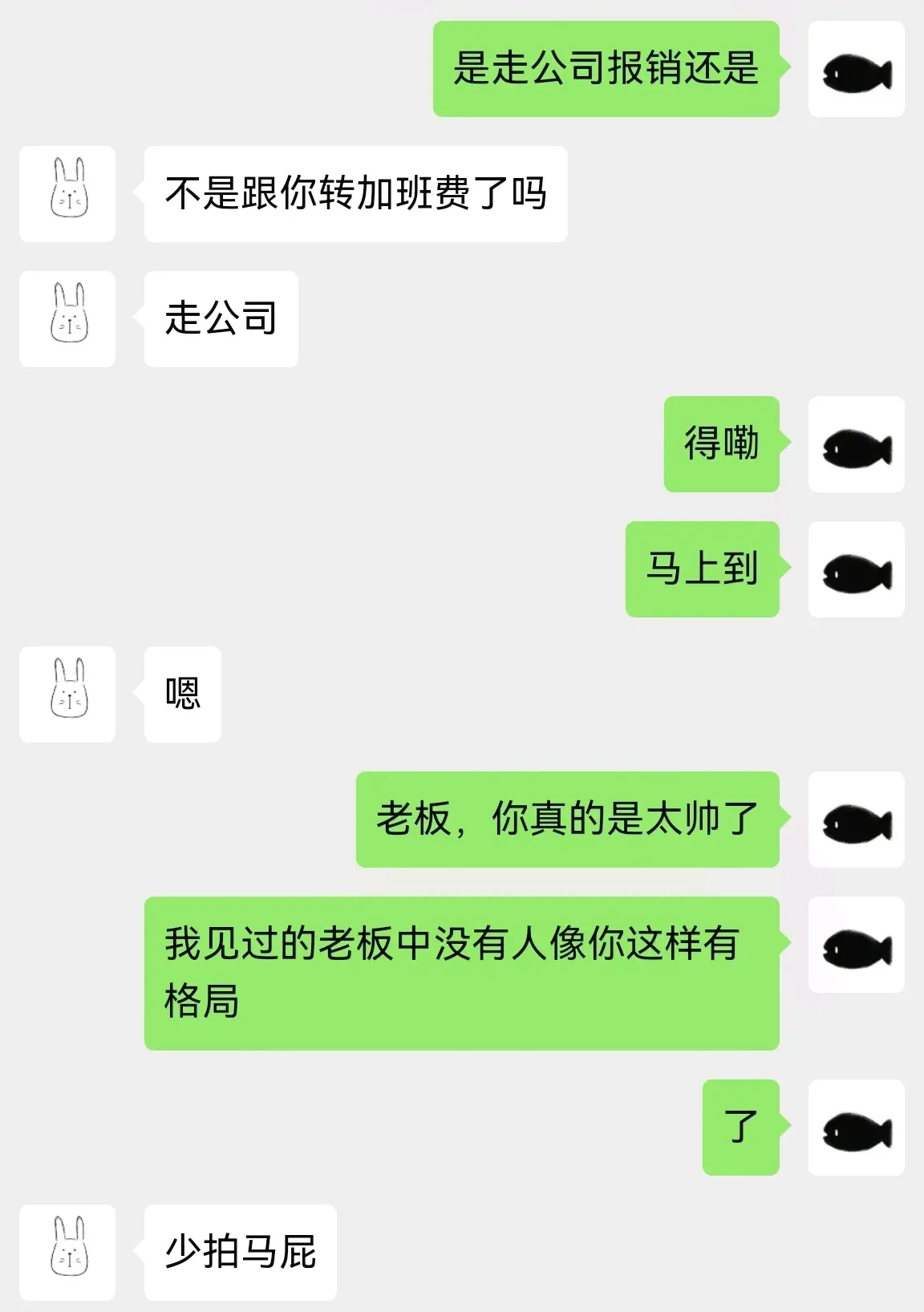 办公室恋情哔哩哔哩图片