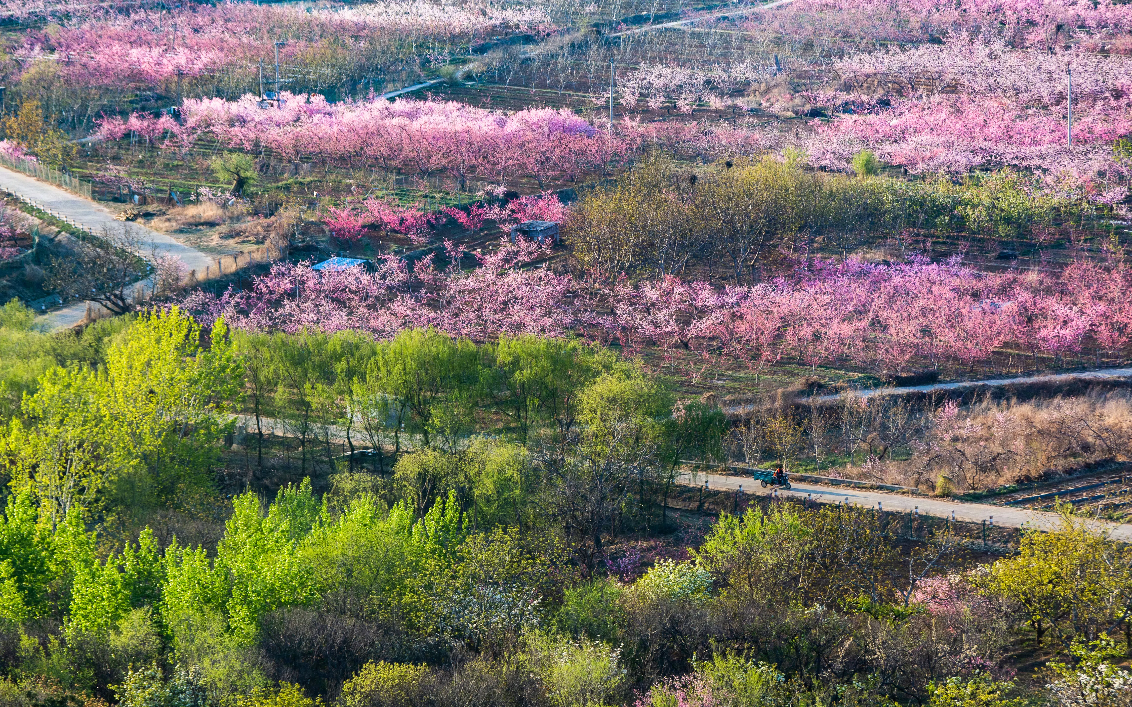 最美桃花源北京房山图片