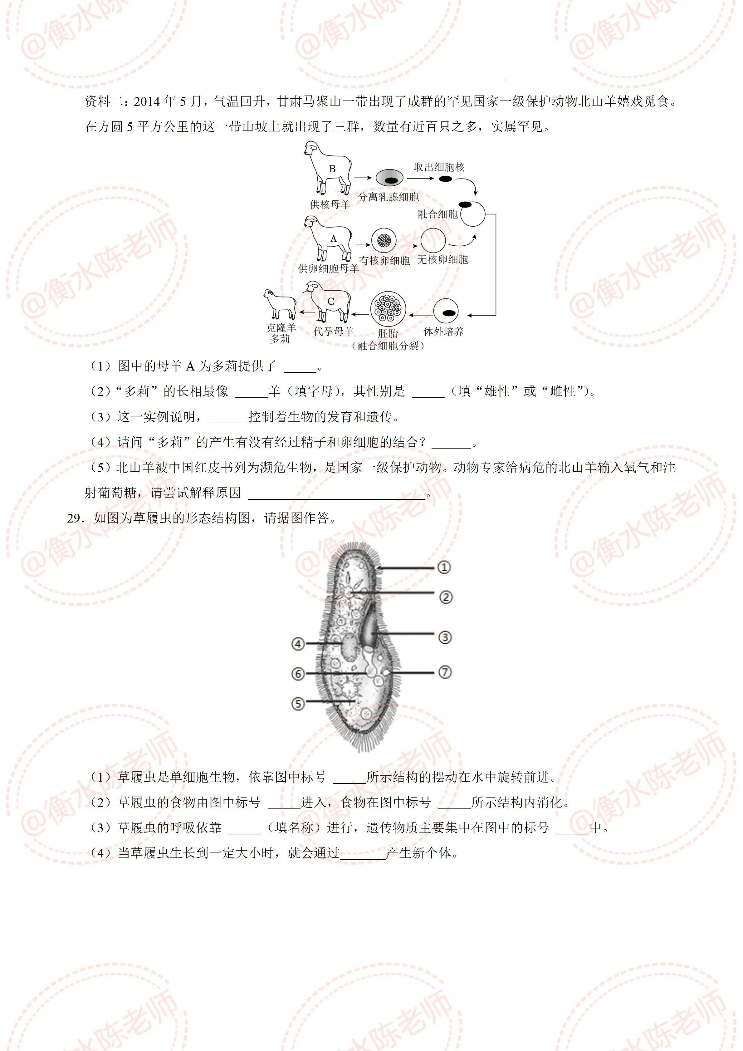 七年级生物中考  第1张 
七年级生物中考  第1张