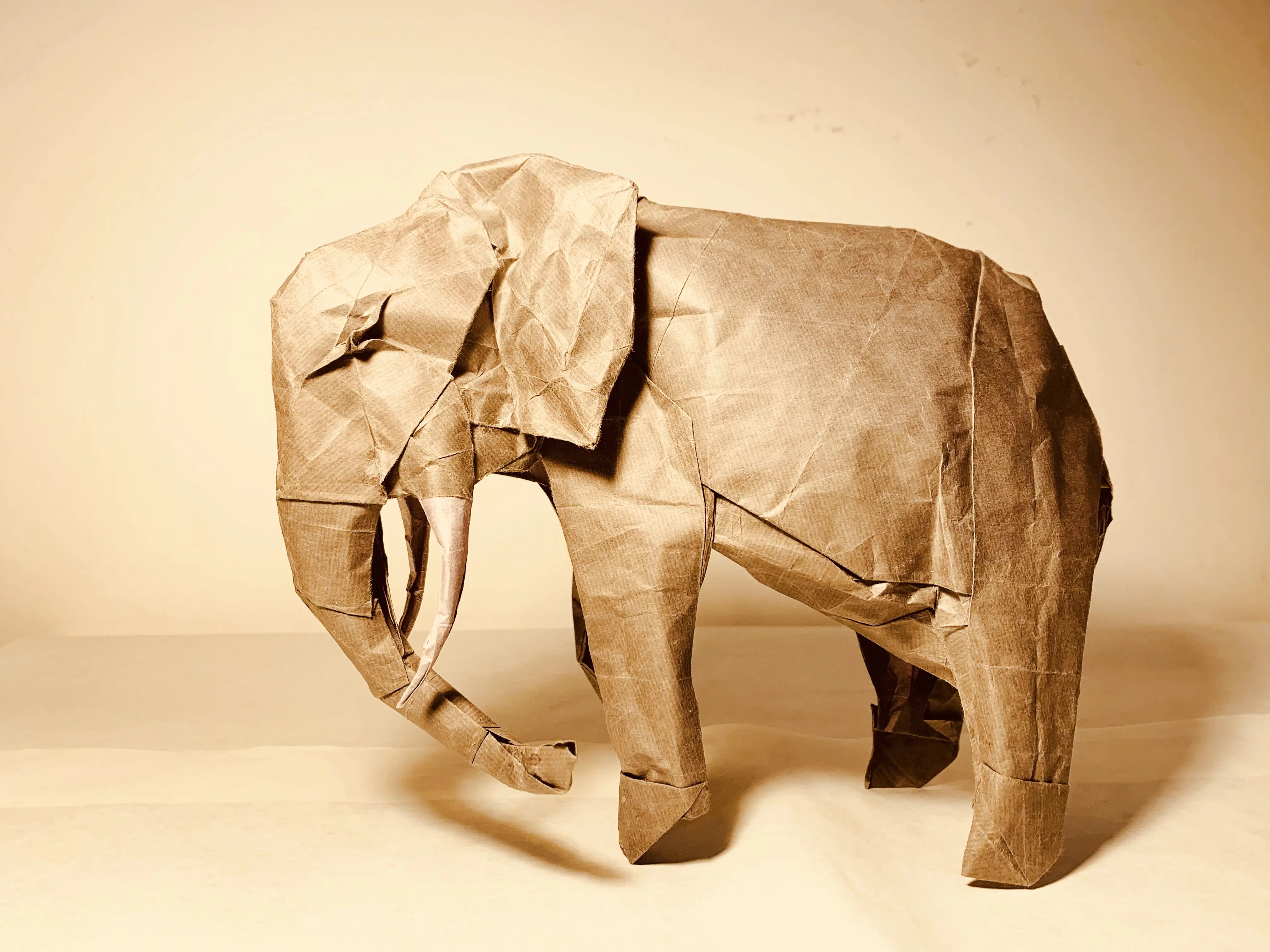 【折纸】加藤非洲象