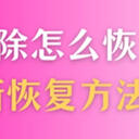文件误删除怎么恢复？揭秘这5种恢复方法，2025最新！