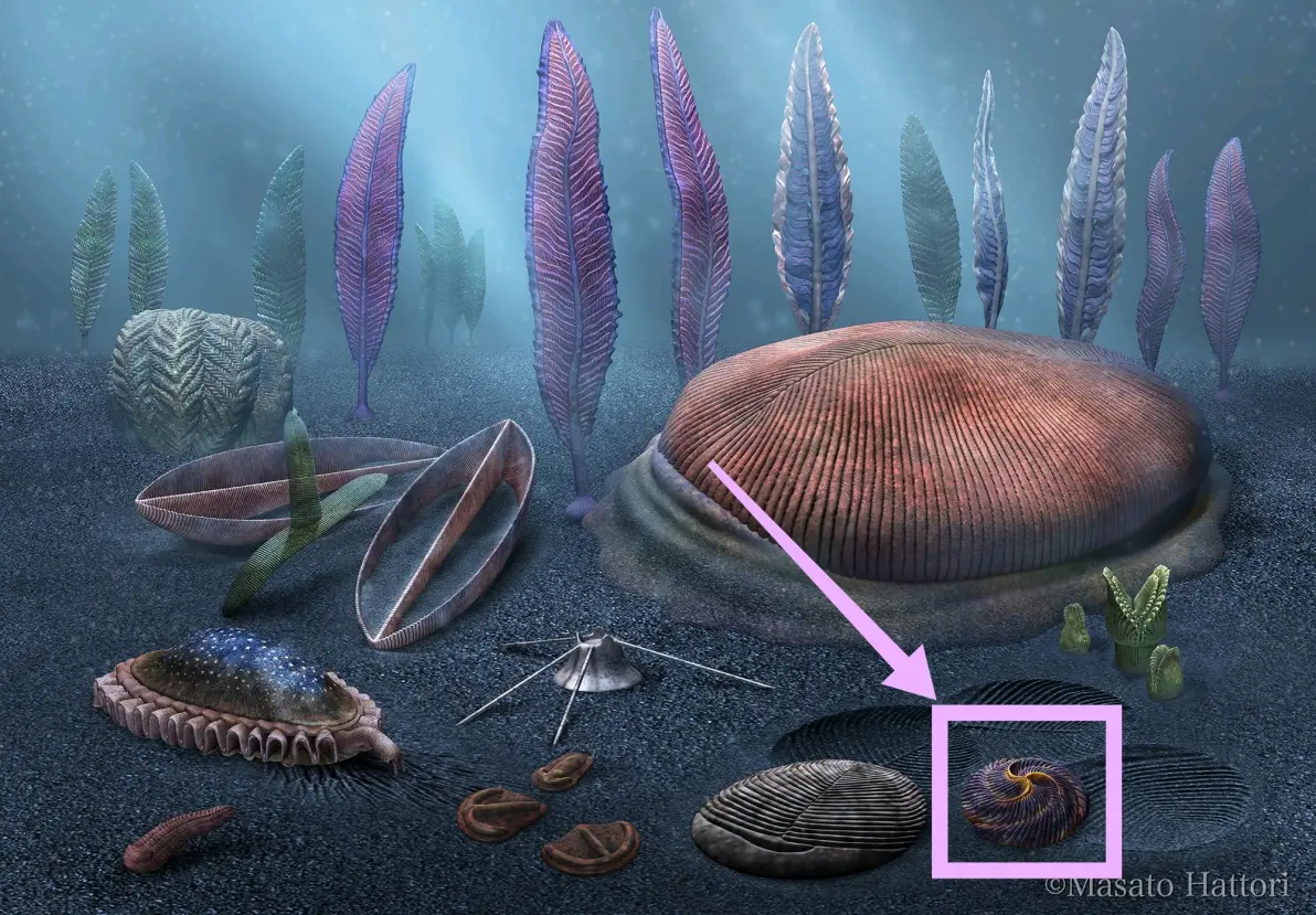 白海飞流紫塞空