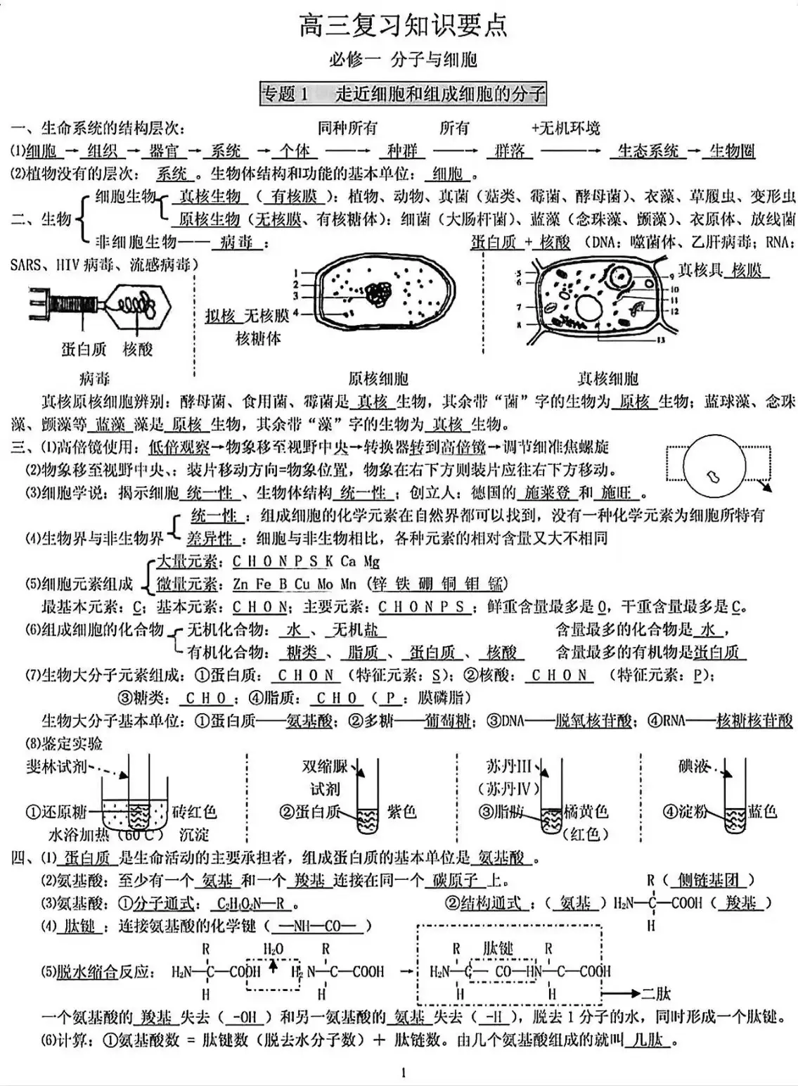 高中生物实验总结学习(高中生物实验总结大全人教版)  第2张