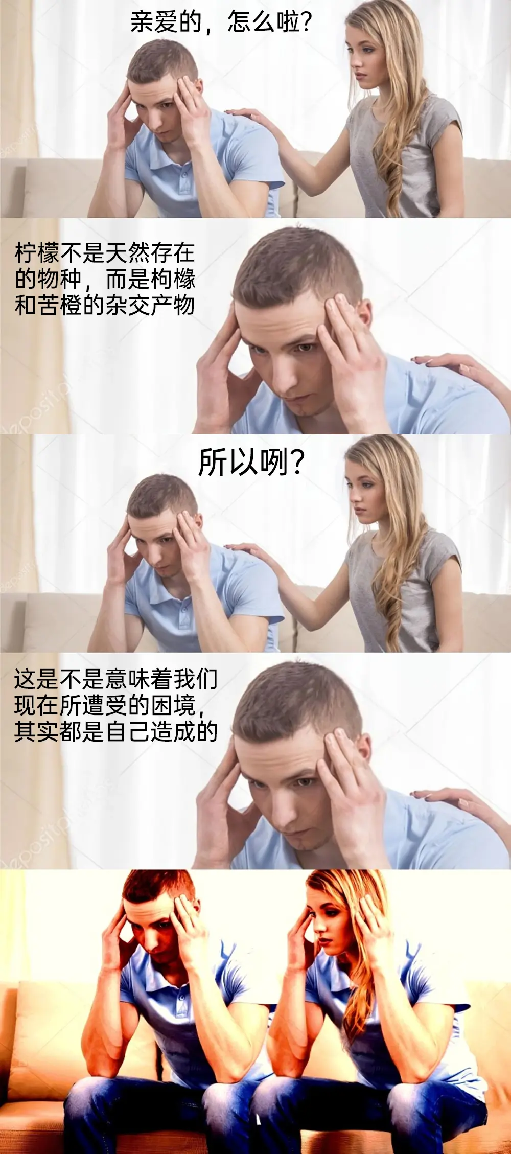 哔哩哔哩梗图图片