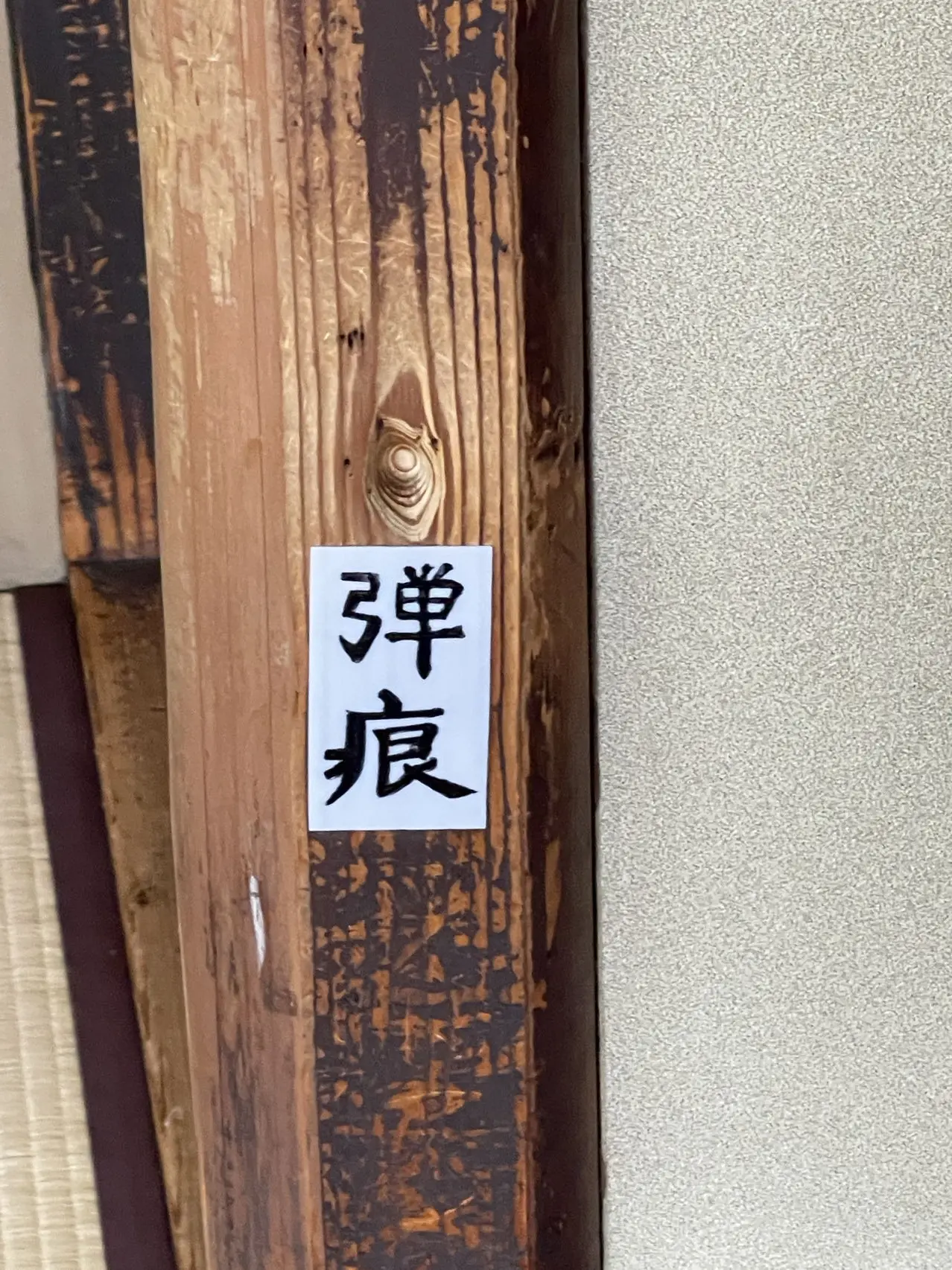 【游记-日本四岛巡礼】幕末维新之龙——坂本龙马//或跃在渊:京都