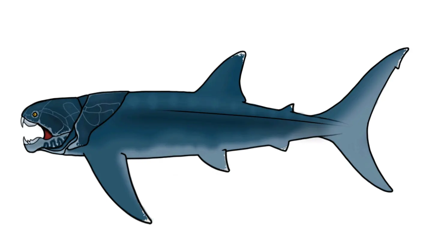 远洋利刃—冉星·怖颌鱼