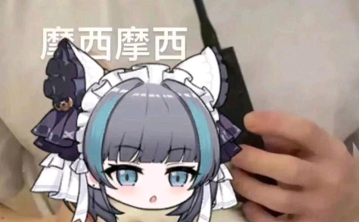 78期猪咪表情包 - 哔哩哔哩