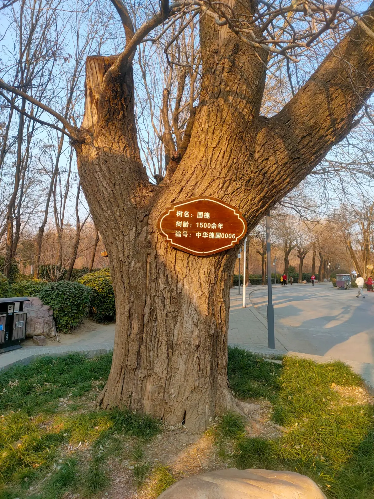 《沈丘槐园里的"娟娟发屋"》