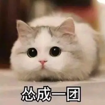 每个人手机里都有的表情包 - 哔哩哔哩