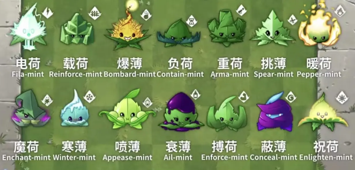 薄荷家族简介