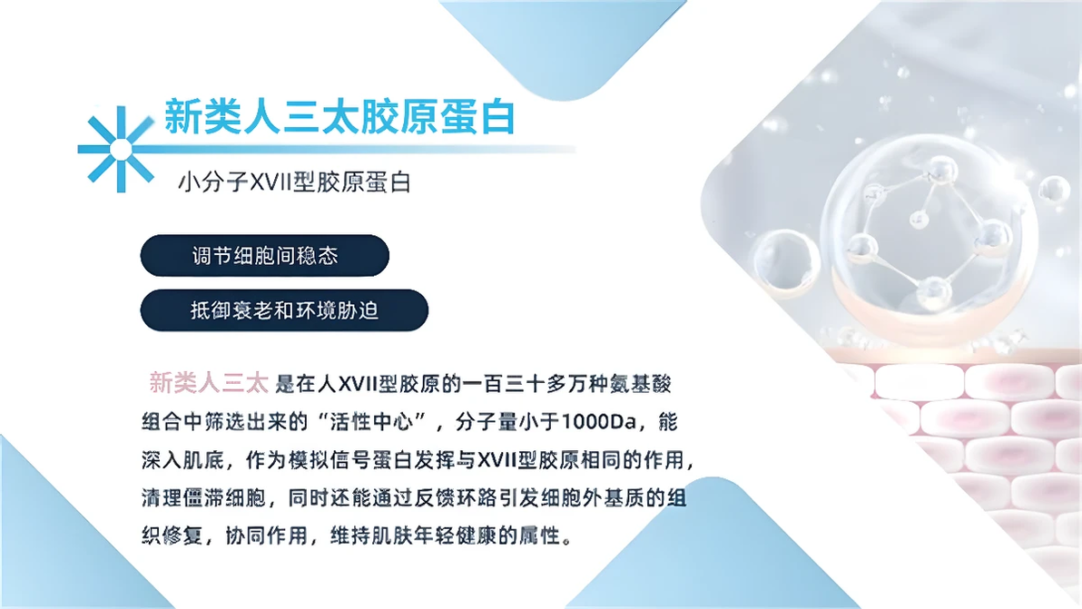 一型胶原蛋白和三型的区别、i ii 和iii型胶原蛋白哪个好、原来是这样~ - 哔哩哔哩