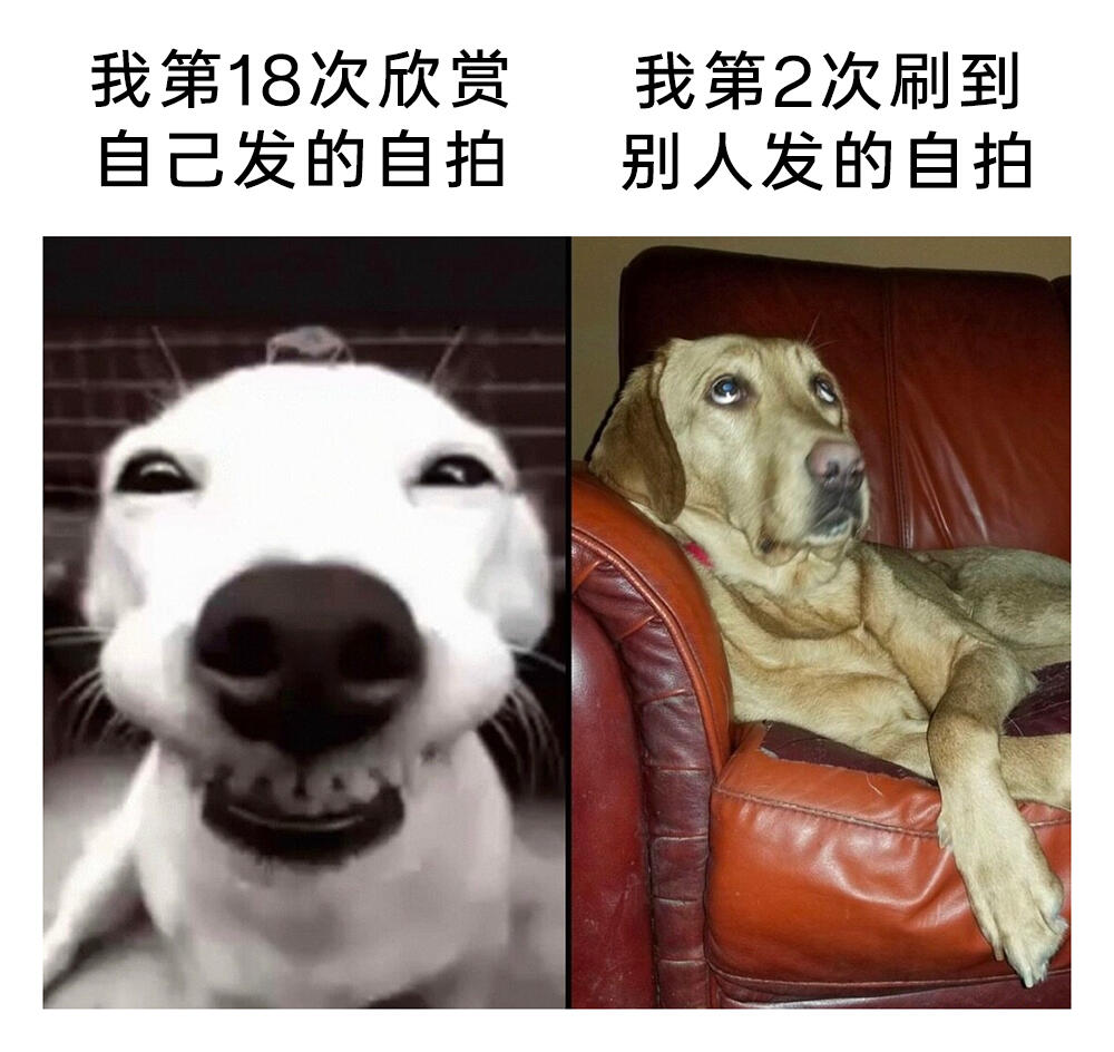 meme梗图:宝贝,我们一起打游戏吧! - 哔哩哔哩
