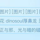 战争之花