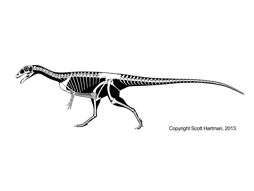 诺弗勒恶龙(masiakasaurus knopfleri)加里多奥卡龙(aucasaurus