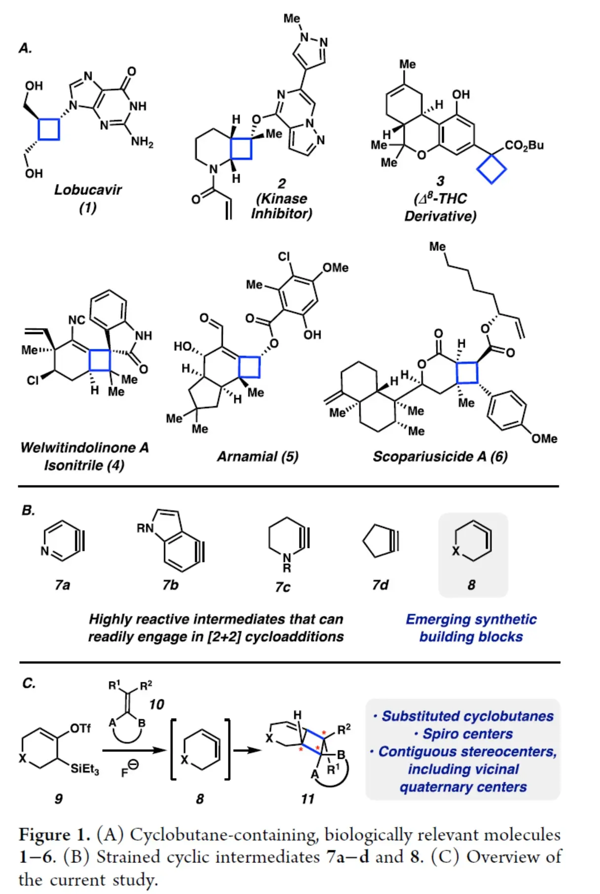 构建复杂环丁烷骨架