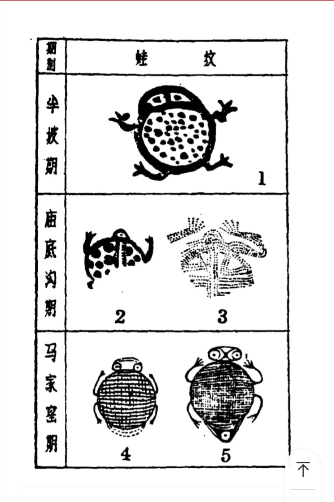 女娲氏族蛇图腾图片