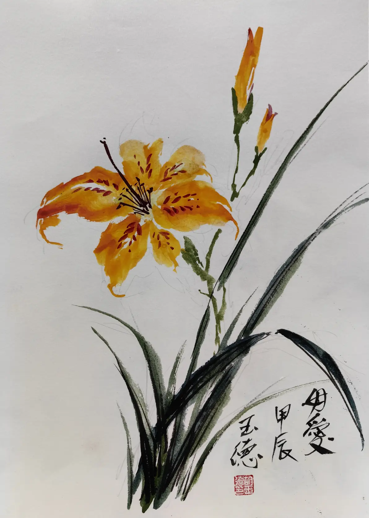 忘忧草(萱草)国画小写意集