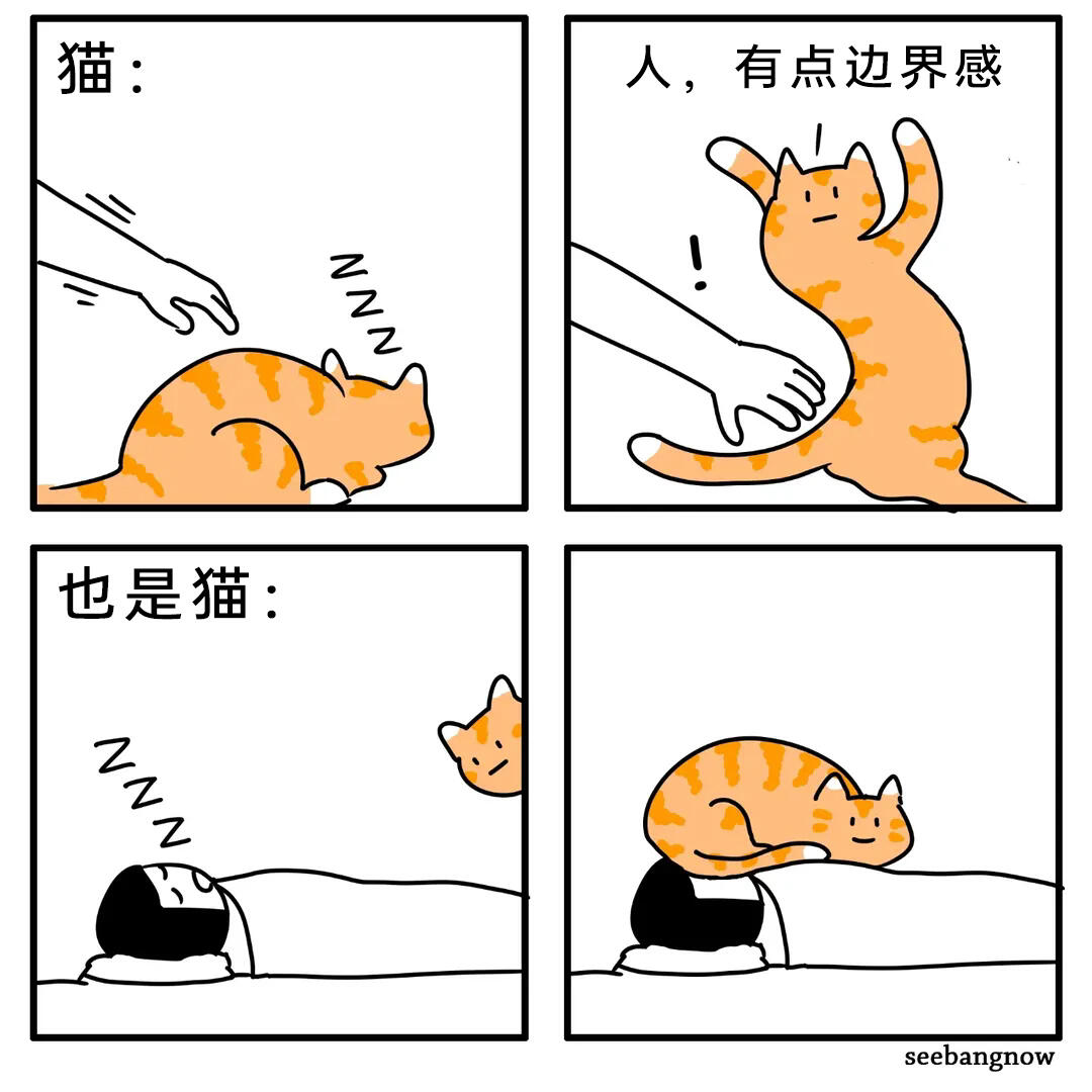 meme梗图:人,有点边界感 - 哔哩哔哩