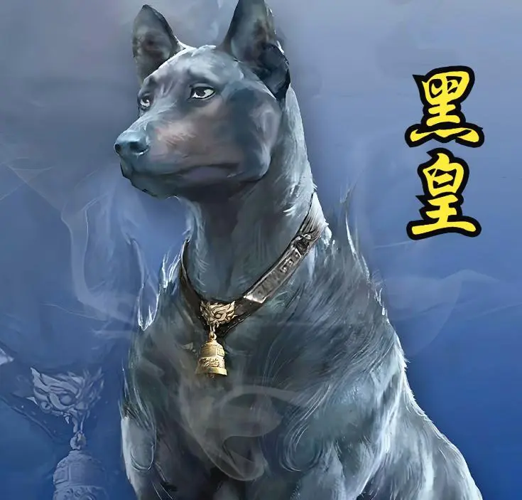 《遮天》黑皇究竟是何来历?前世追随无始仙王,最终又成为大帝?