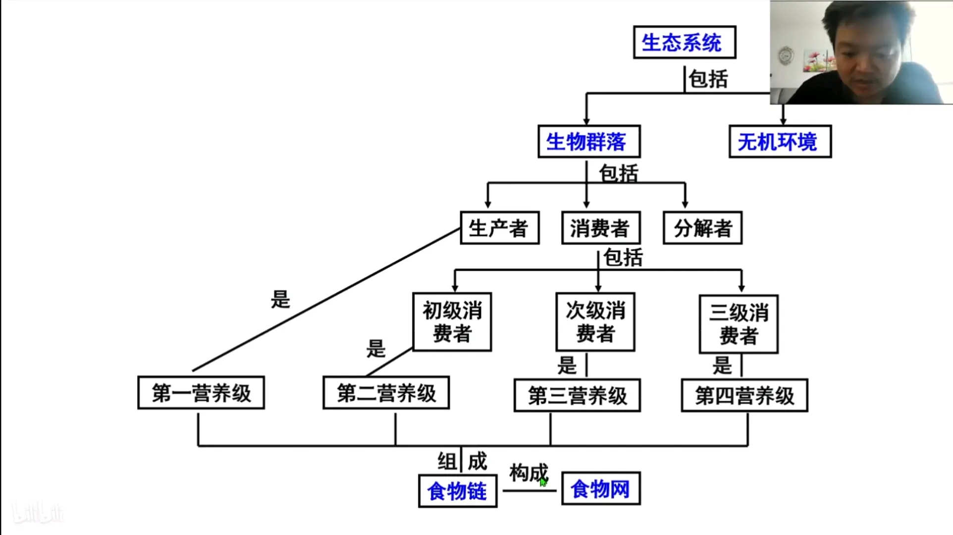 生态系统的结构