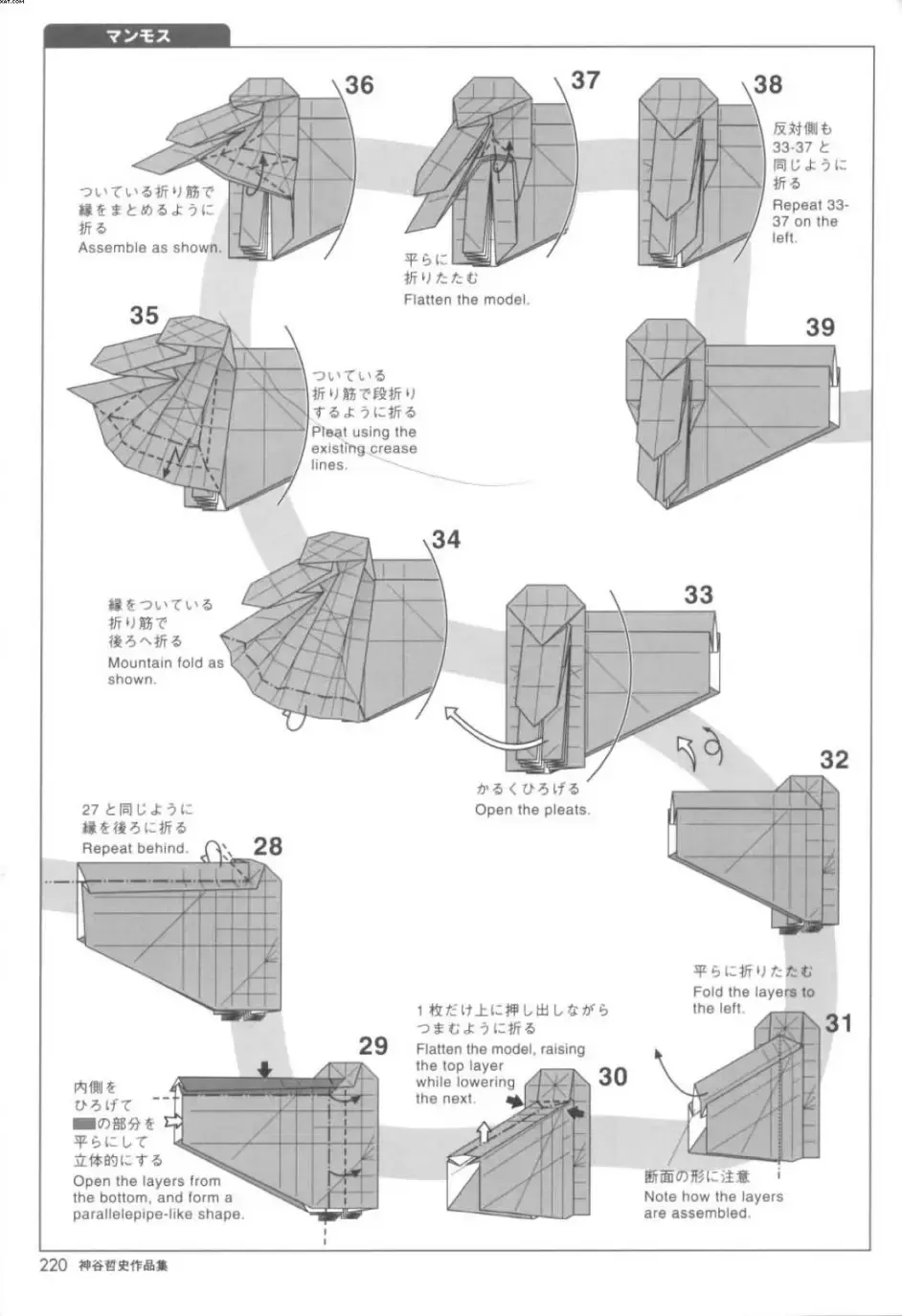 折纸猛杩象图片