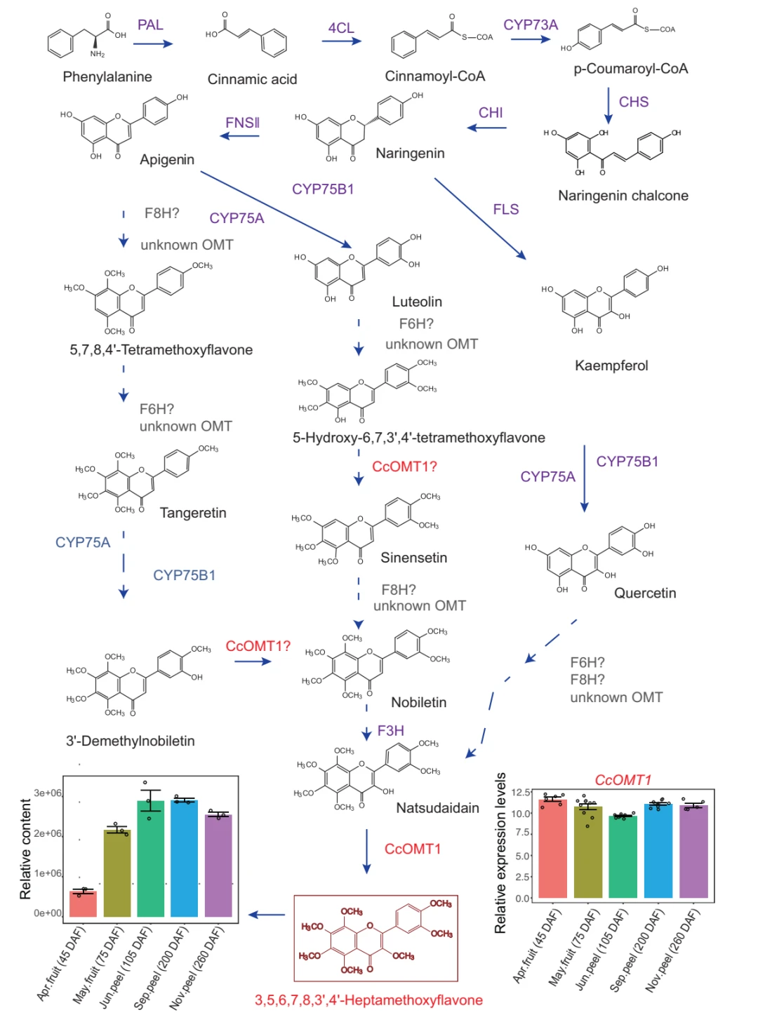 代谢通路图绘制,Science/nature文章经典基因筛选思路! - 哔哩哔哩