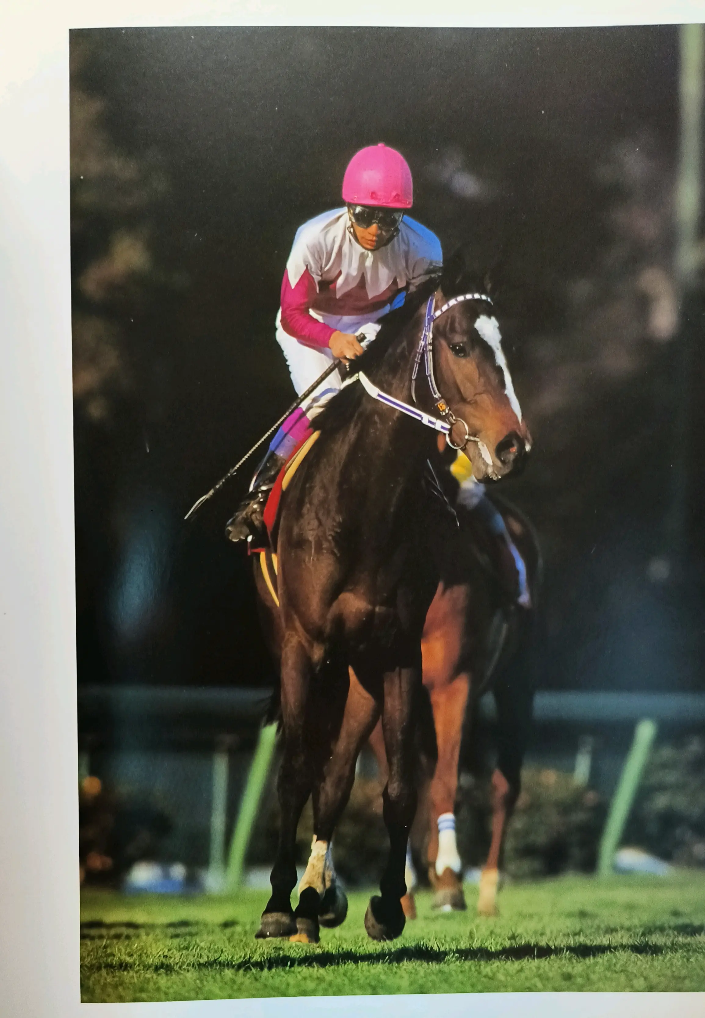 特别周写真集「赞歌」杂记——纵使照片褪色,你未曾离我远去