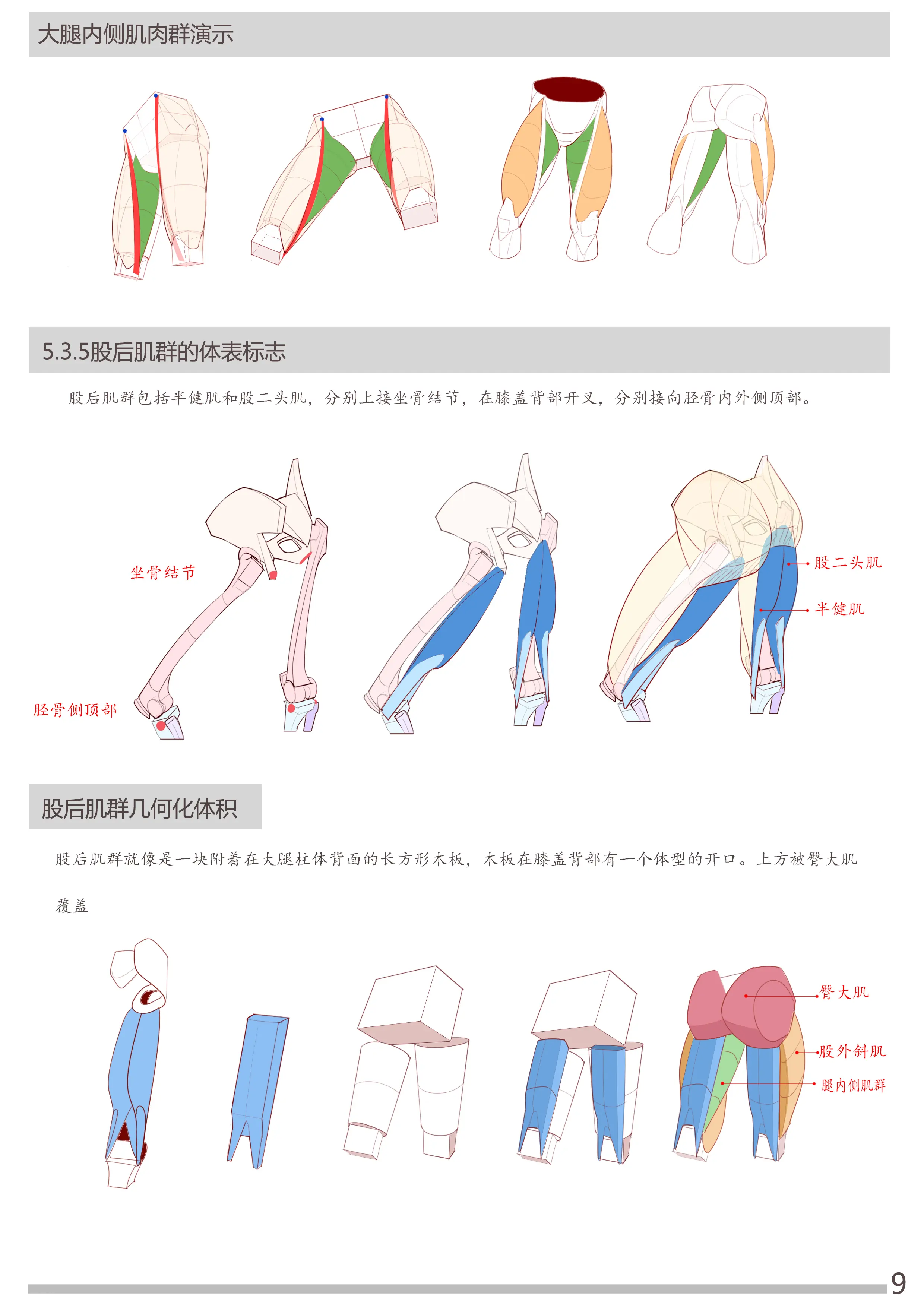 女性胯部画法图片