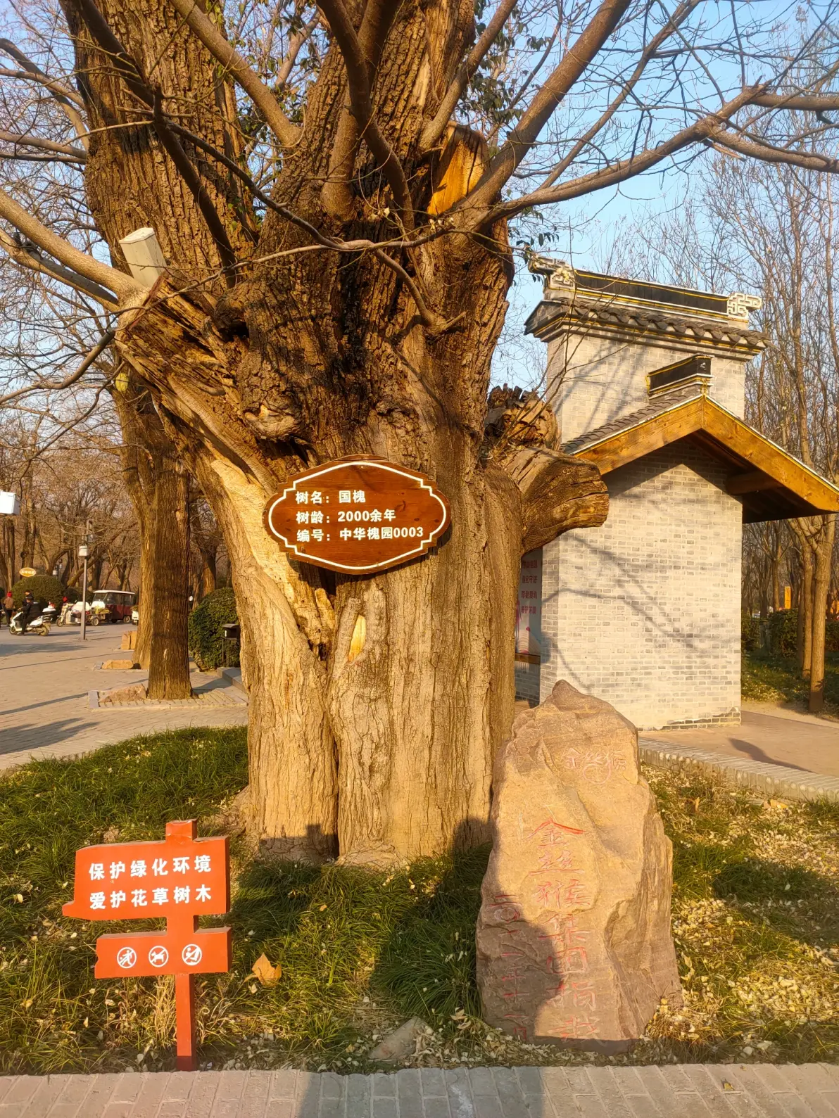 《沈丘槐园里的"娟娟发屋"》