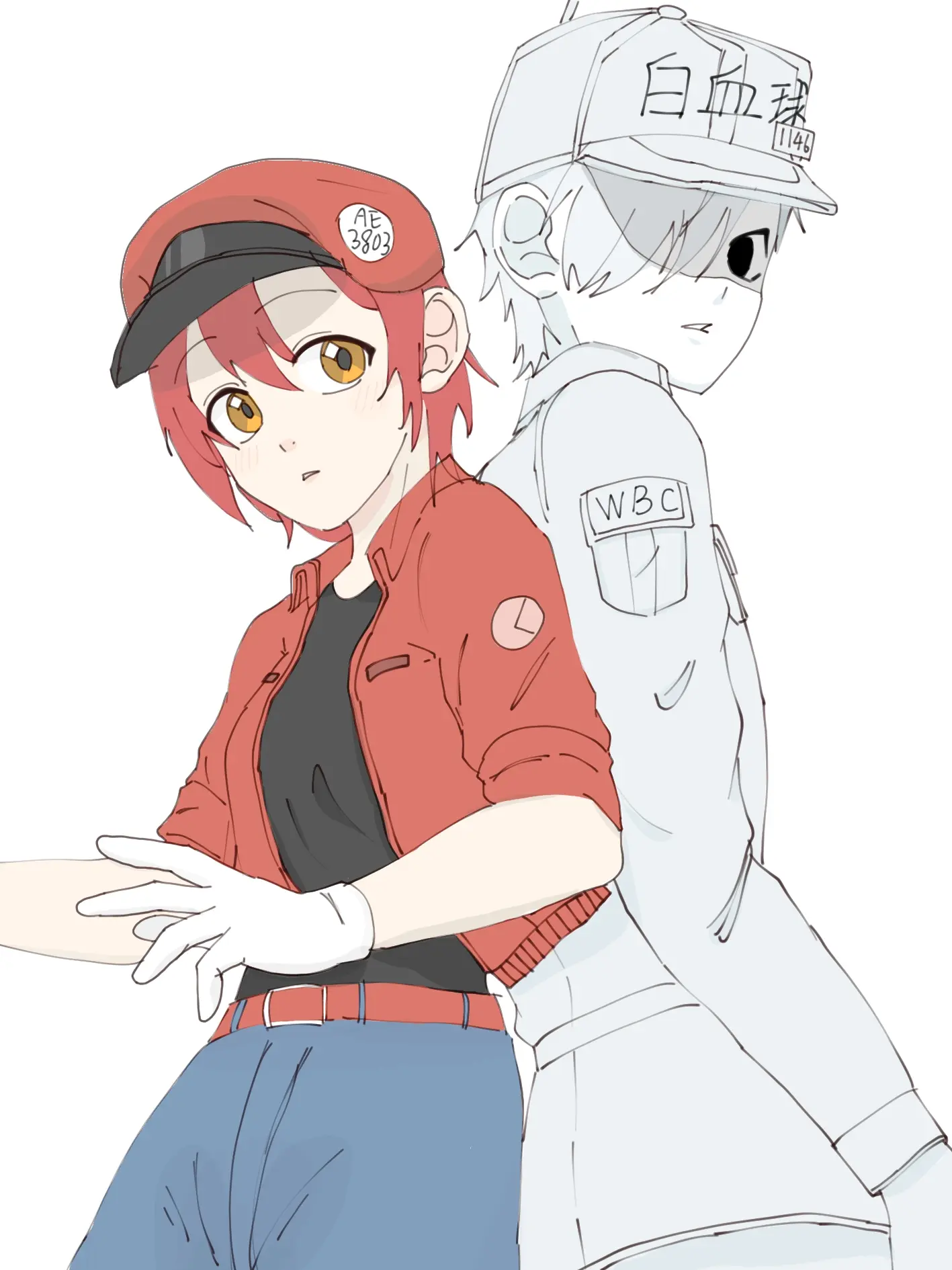 【工作细胞|白红向】爆改模板画的白红cp - 哔哩哔哩