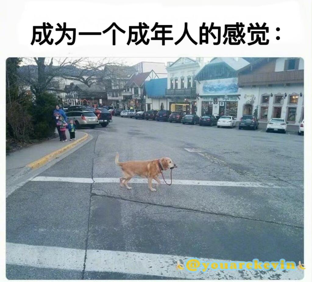 人间真实MEME梗图146-147期 - 哔哩哔哩