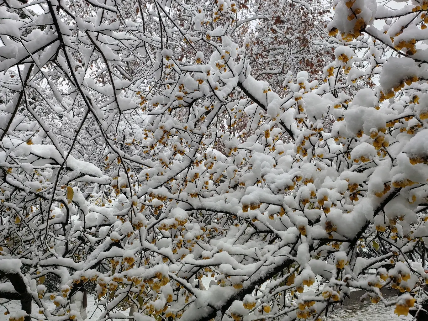 潇湘八景之江天暮雪