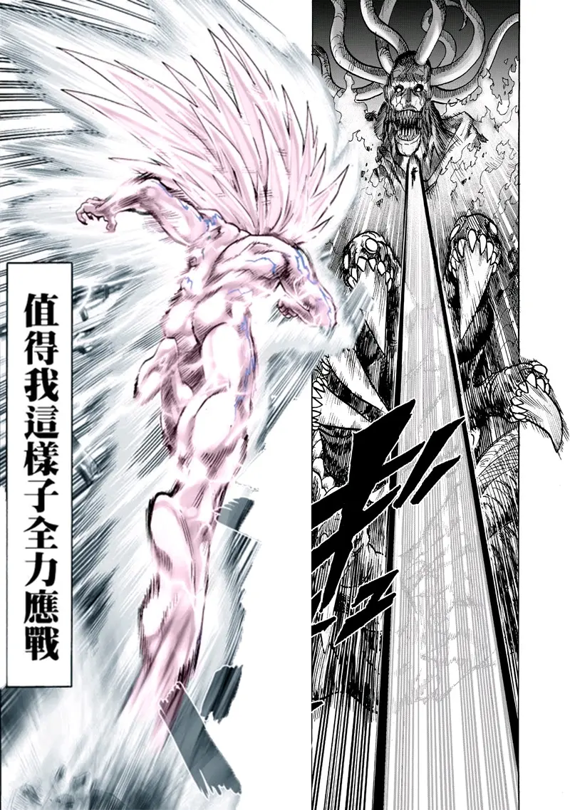 一拳超人:大蛇vs波罗斯