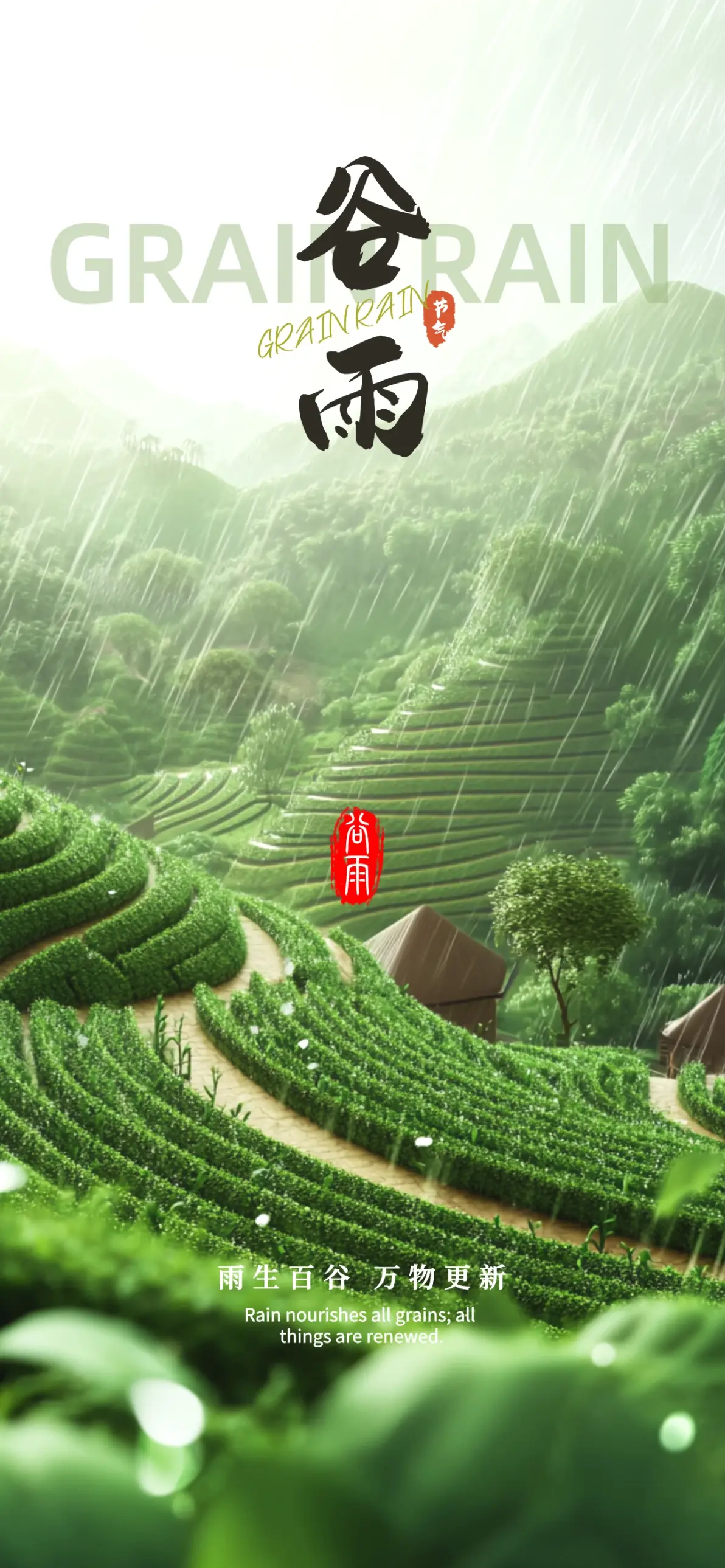传统二十四节气 ii 谷雨至 春渐隐 夏意浓