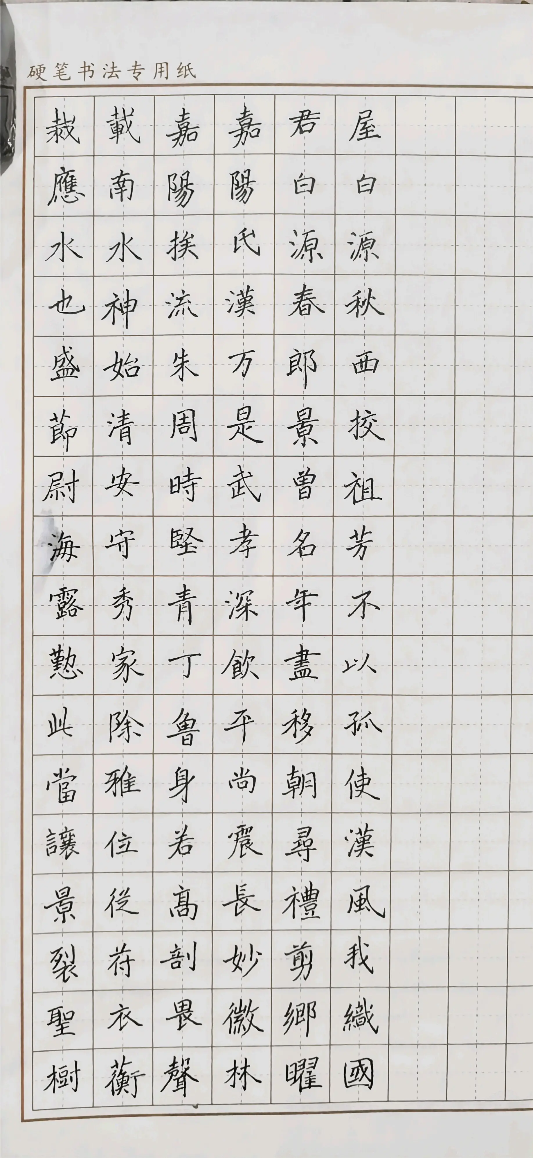 硬笔临张猛龙碑