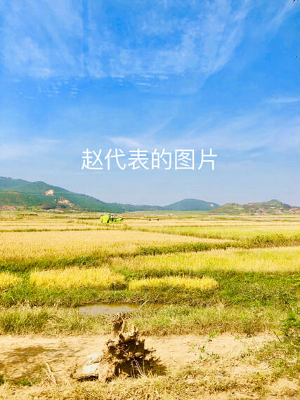 朝鲜黄海南道康翎郡农村水稻调研 哔哩哔哩