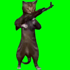 免费超全猫猫meme表情包(第一弹) - 哔哩哔哩