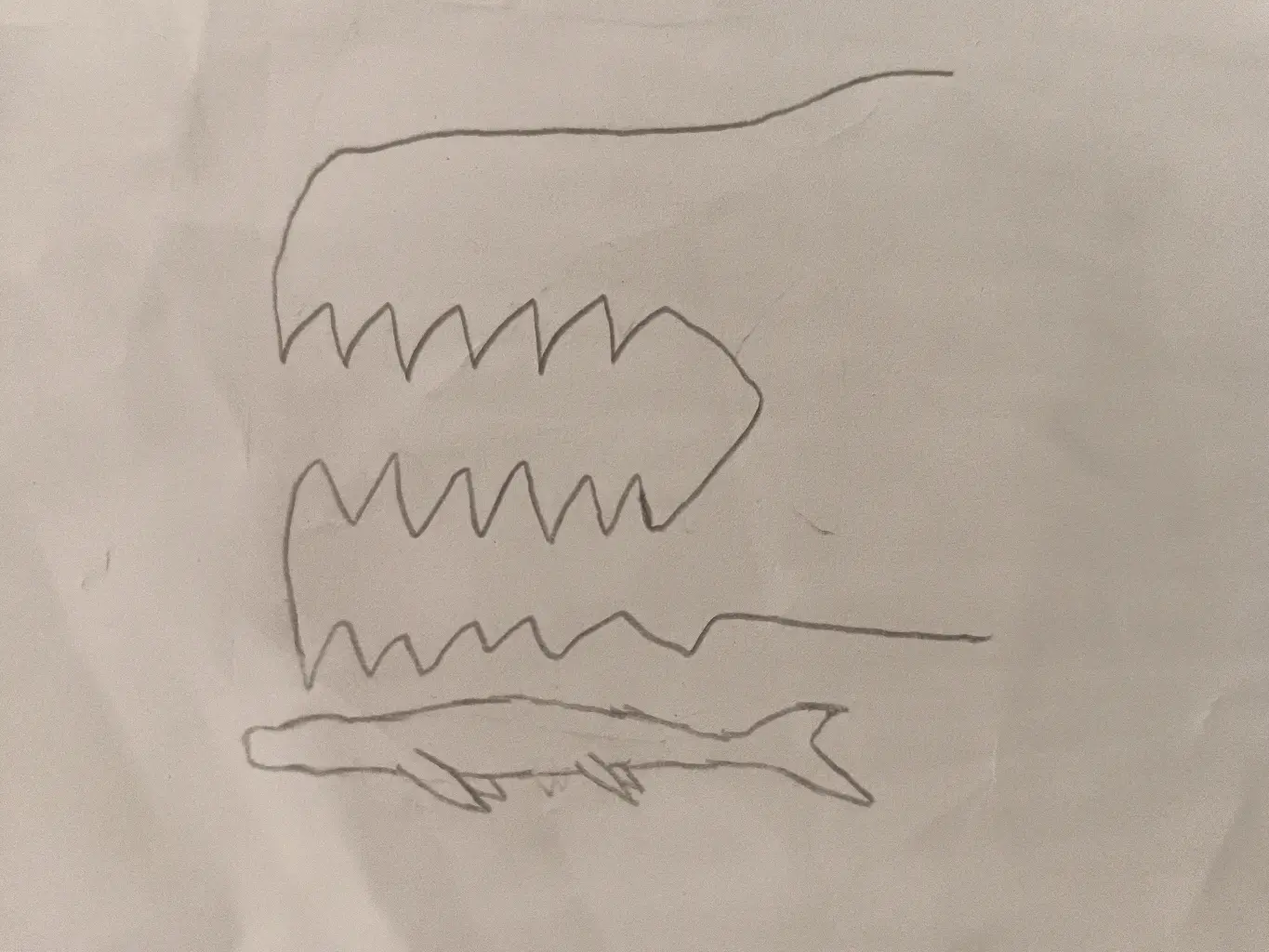 马斯特里赫特的海王