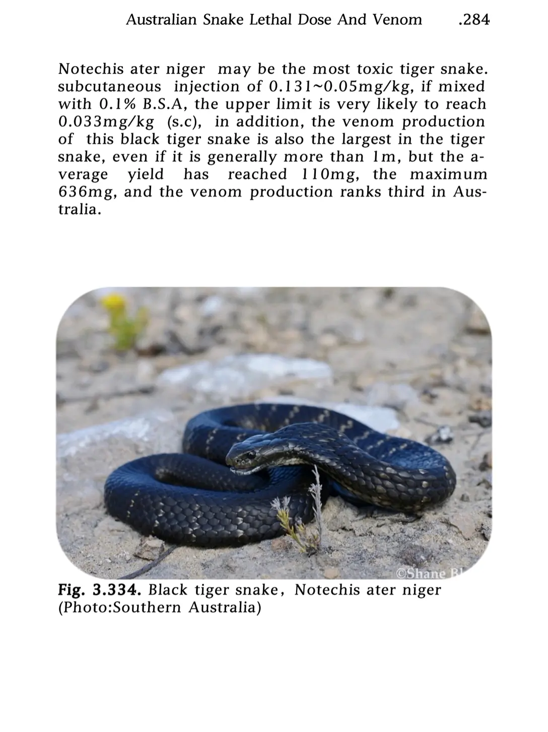 australian snake lethal dose and venom
