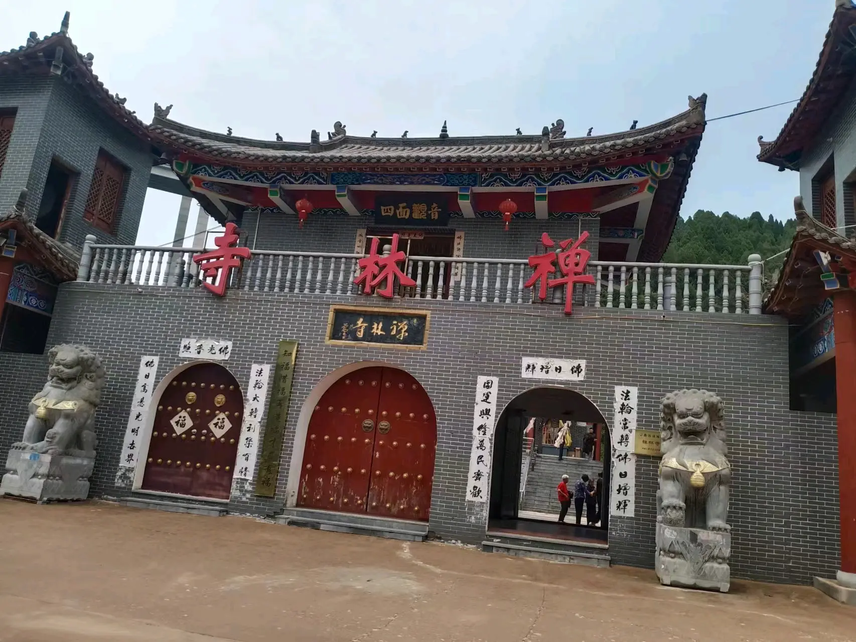 有缘带您畅游观看河南省三门峡渑池县中关村禅林寺《佛手神柏》 华夏