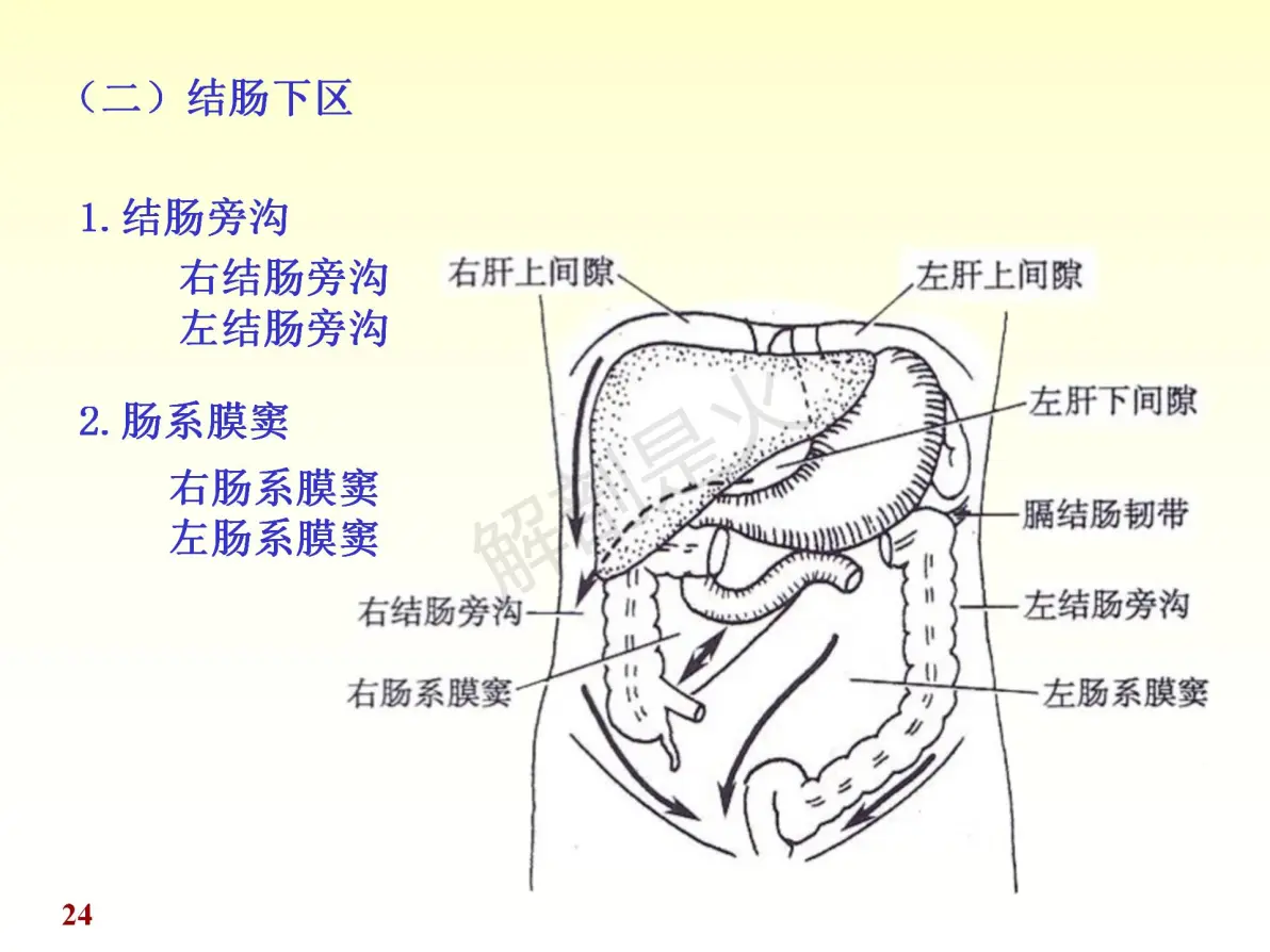 腹膜ppt