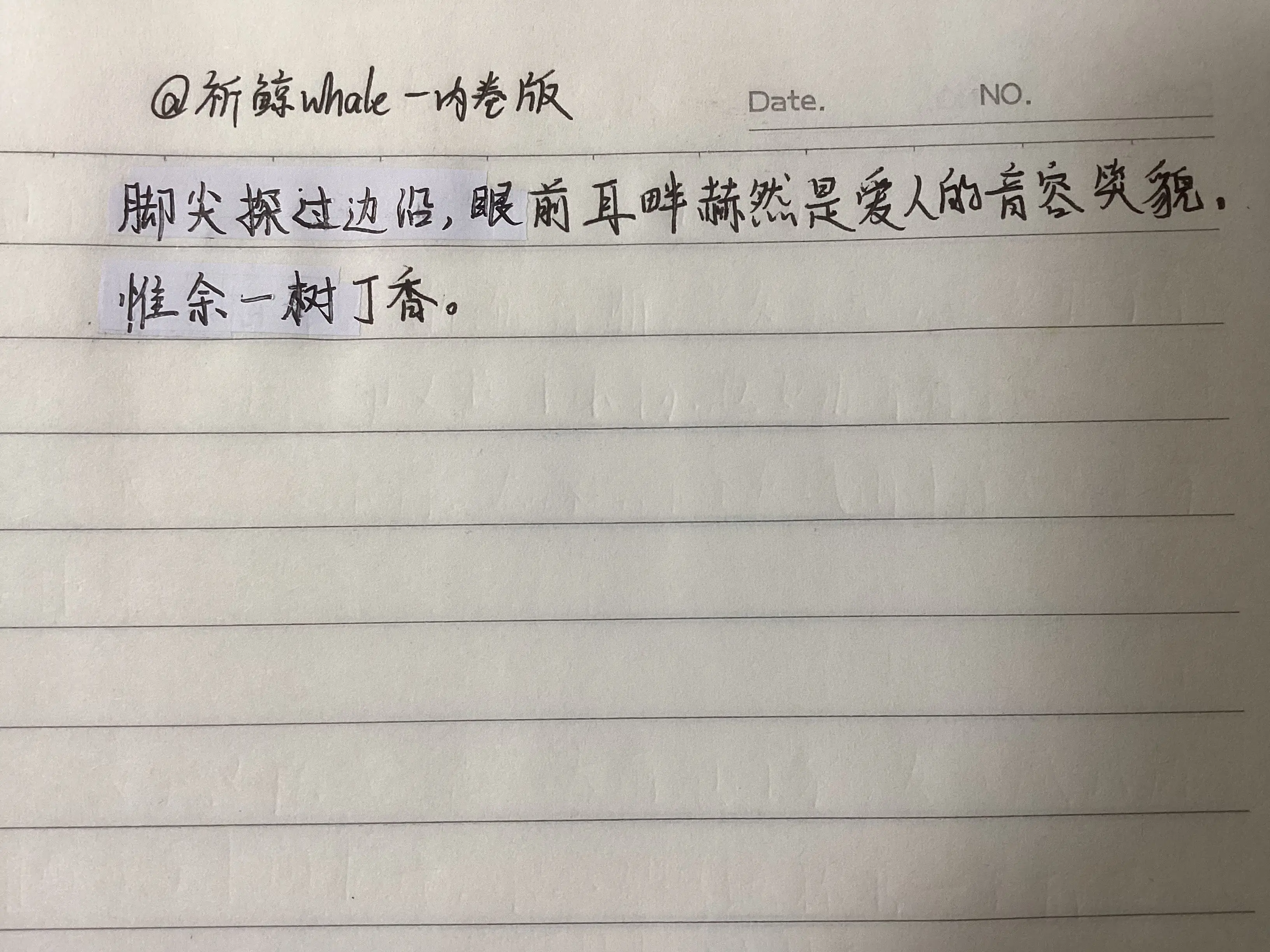 惟余丁香(皮特cp注意避雷!