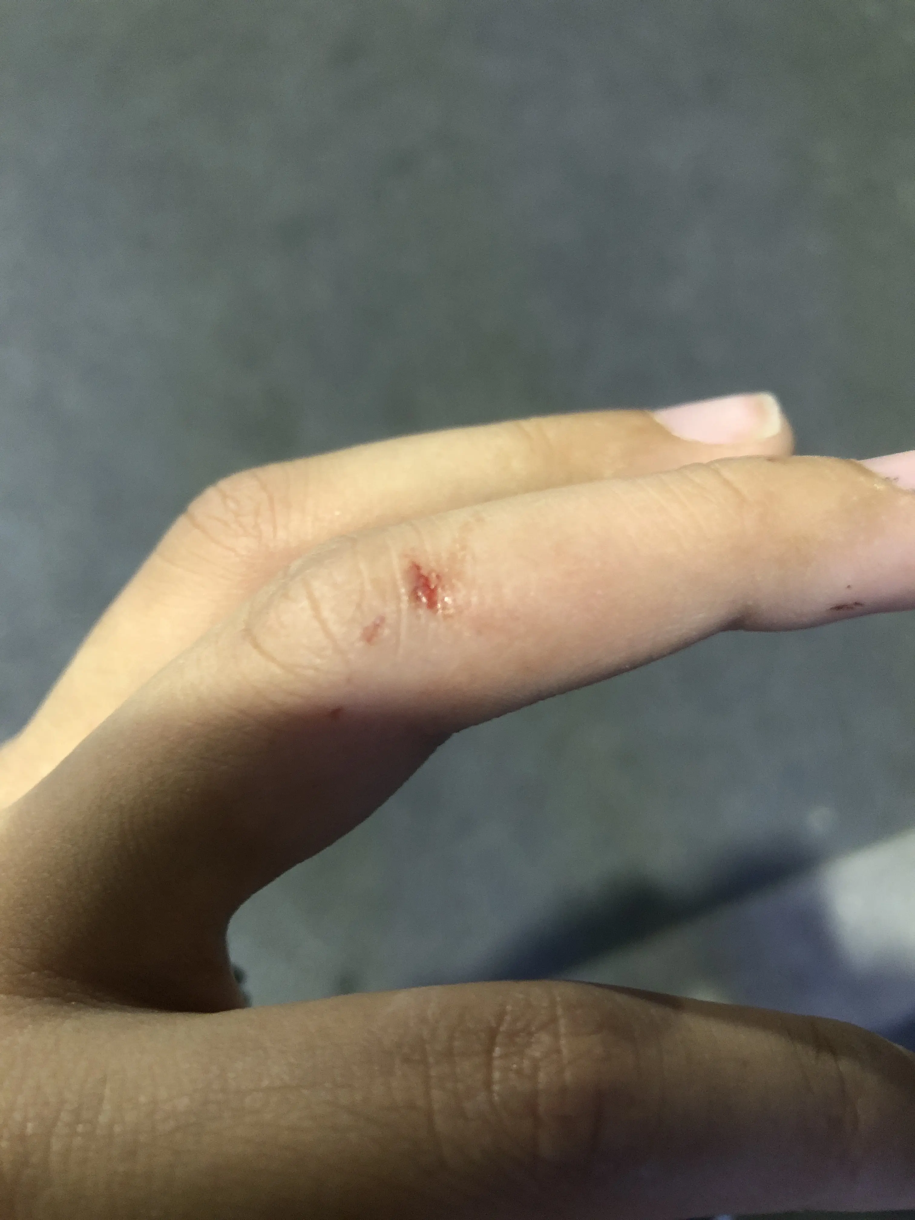 高兴的很,年纪轻轻品传奇人生,农民家的孩子没有被老鼠咬过是不完美的