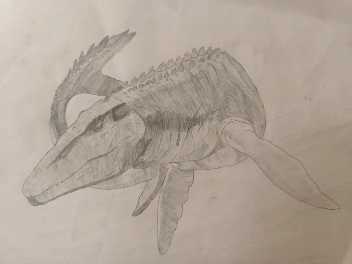 是因为我画了这张图)名称:特里赫特;种族:霍夫曼•沧龙(非纯种)性别