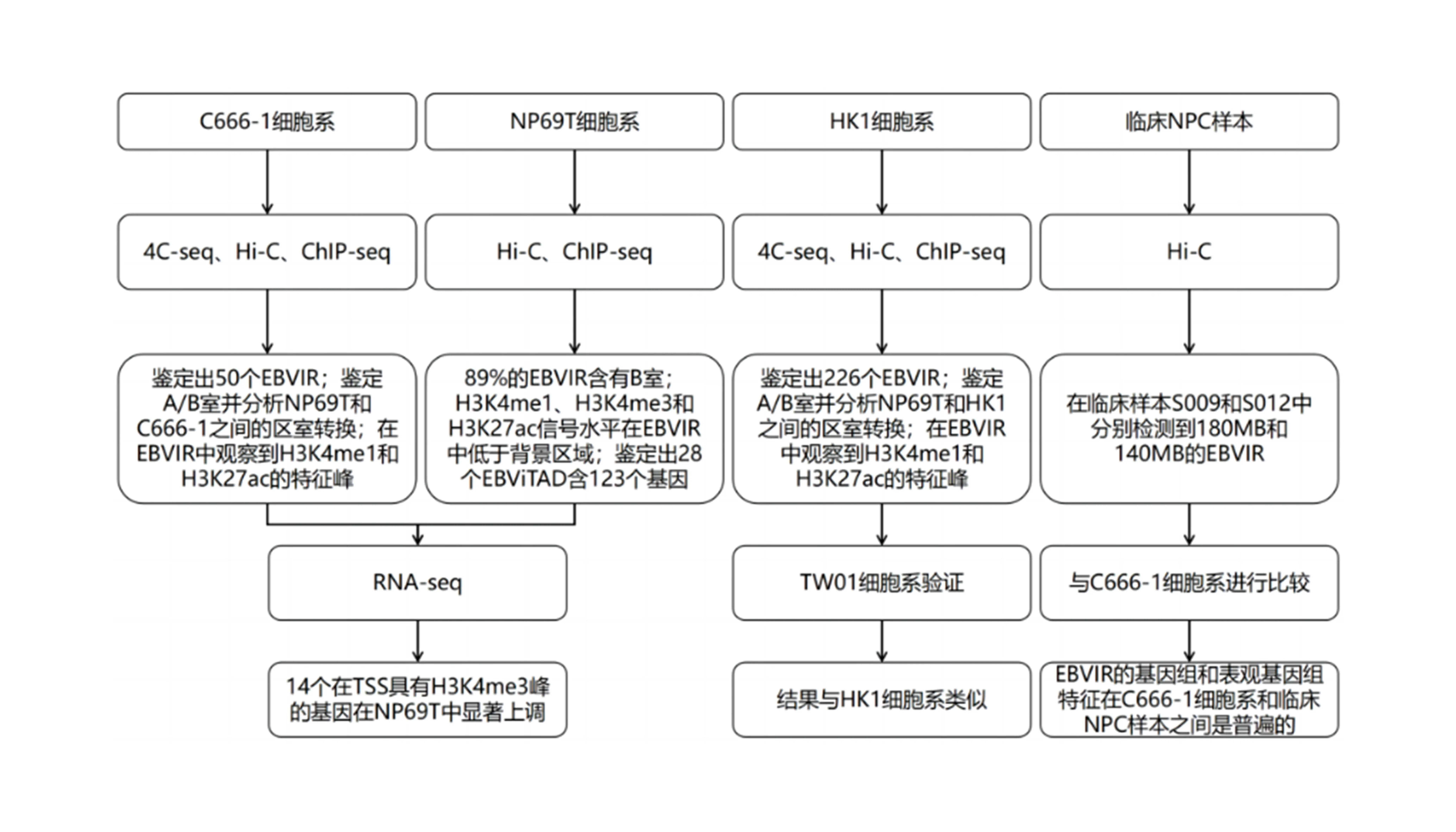 hi-c,rna-seq,chip-seq,4c-seq等技术联合解析eb病毒