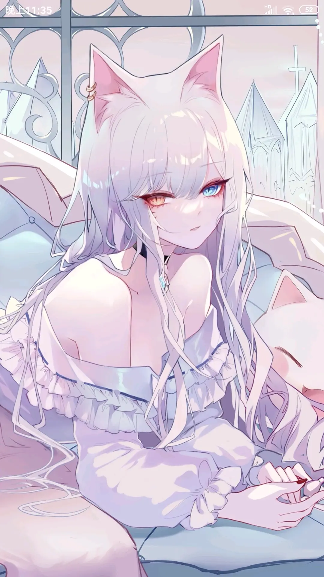 带你们欣赏艺术画家sheya笔下的白猫candle