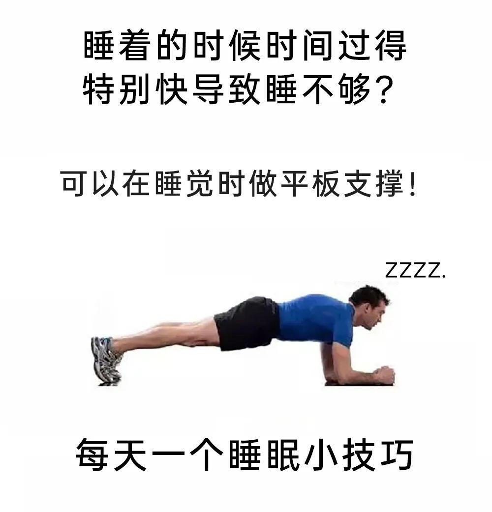 meme图:当你不小心弄丢你的猫 - 哔哩哔哩